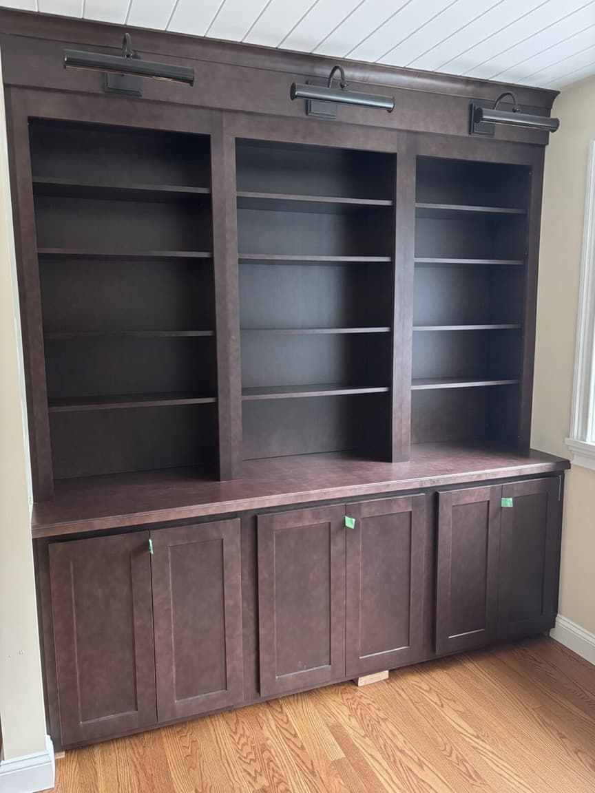 Dark brown built-in bookcase with open shelves, overhead picture lights, and lower storage cabinets.